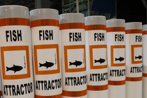 Marking-Fish-Habitat-Structures_Image3